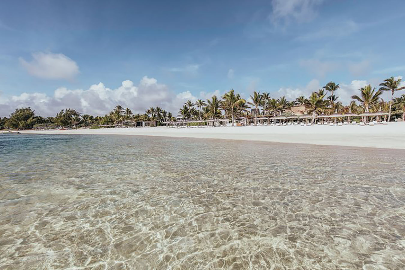 TEMA-longbeach28
