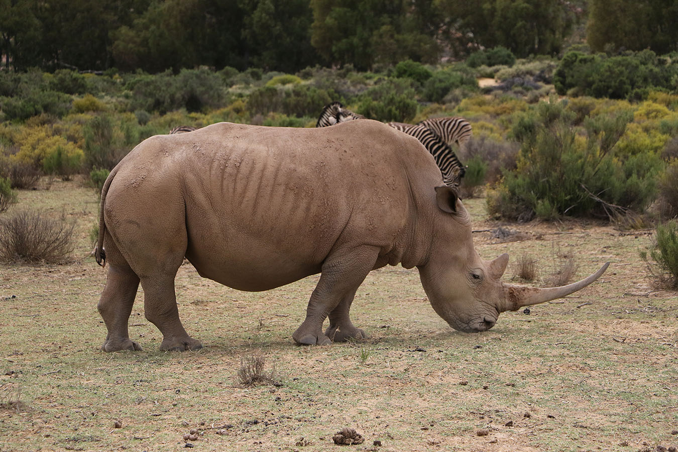 TEMA-suedafrika23
