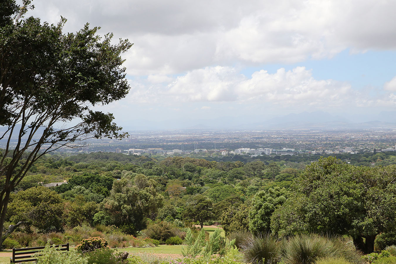 TEMA-suedafrika26