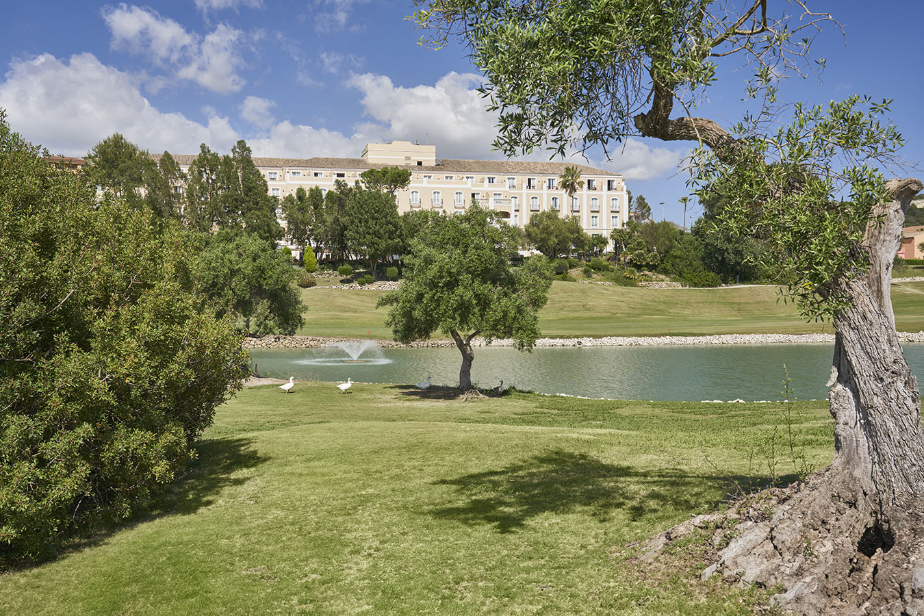 tema-montecastillo02
