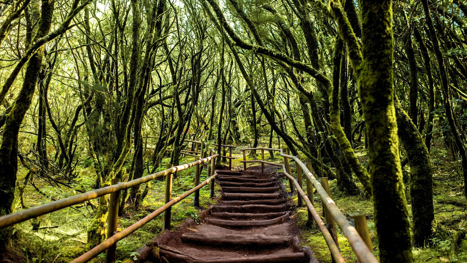 Fotos La Gomera