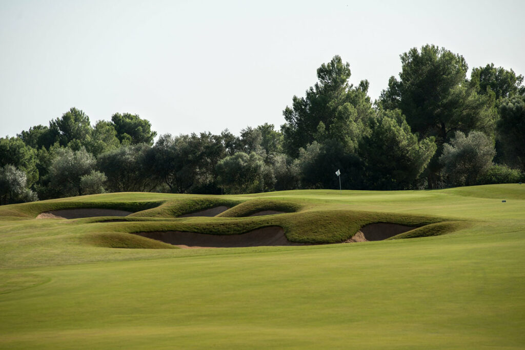 T-Golf Puntiro