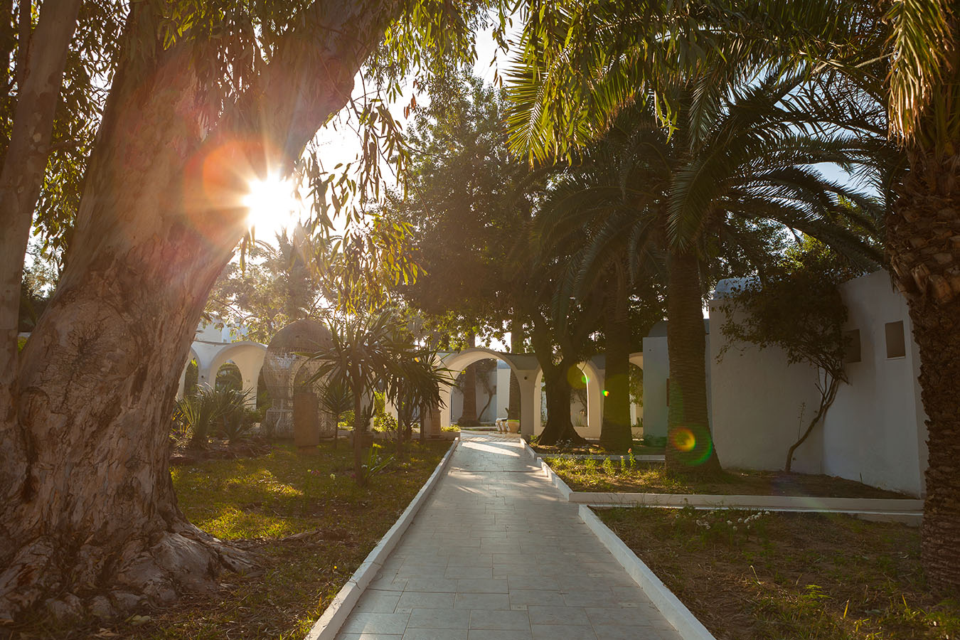 sindbad-hammamet-11
