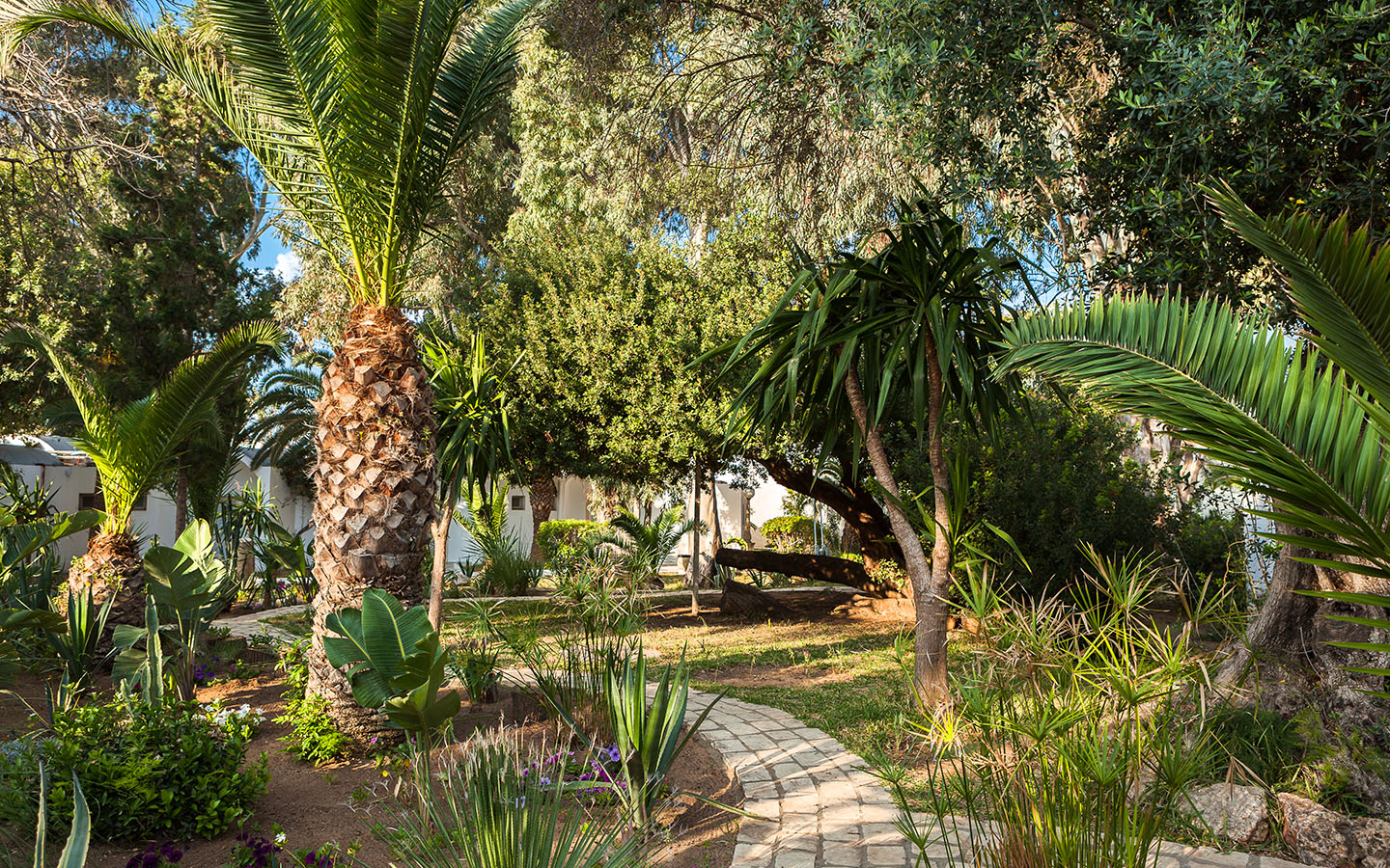 sindbad-hammamet-12
