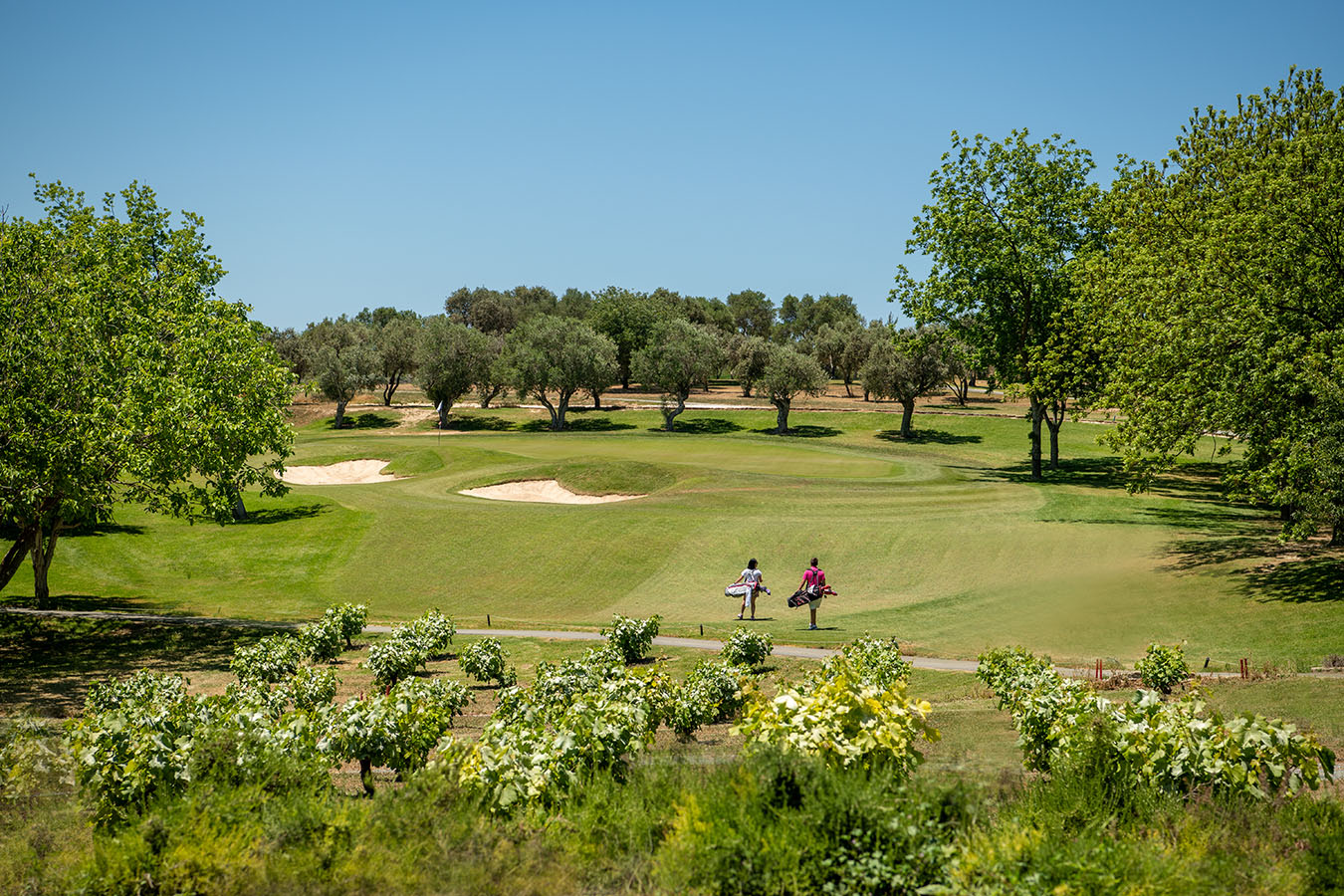 minthis-golf-10