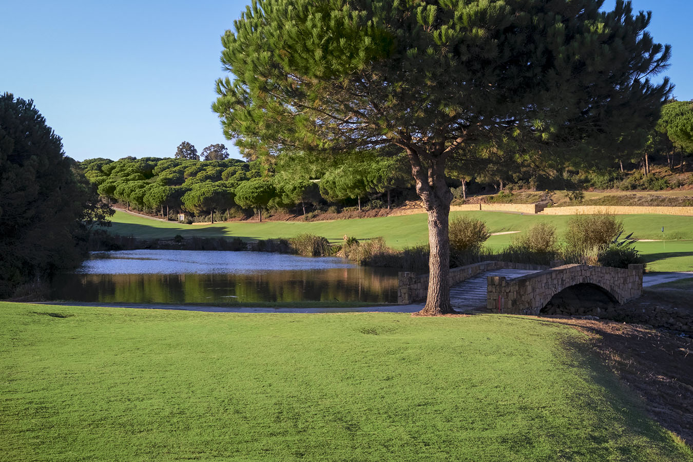 sotogrande-21