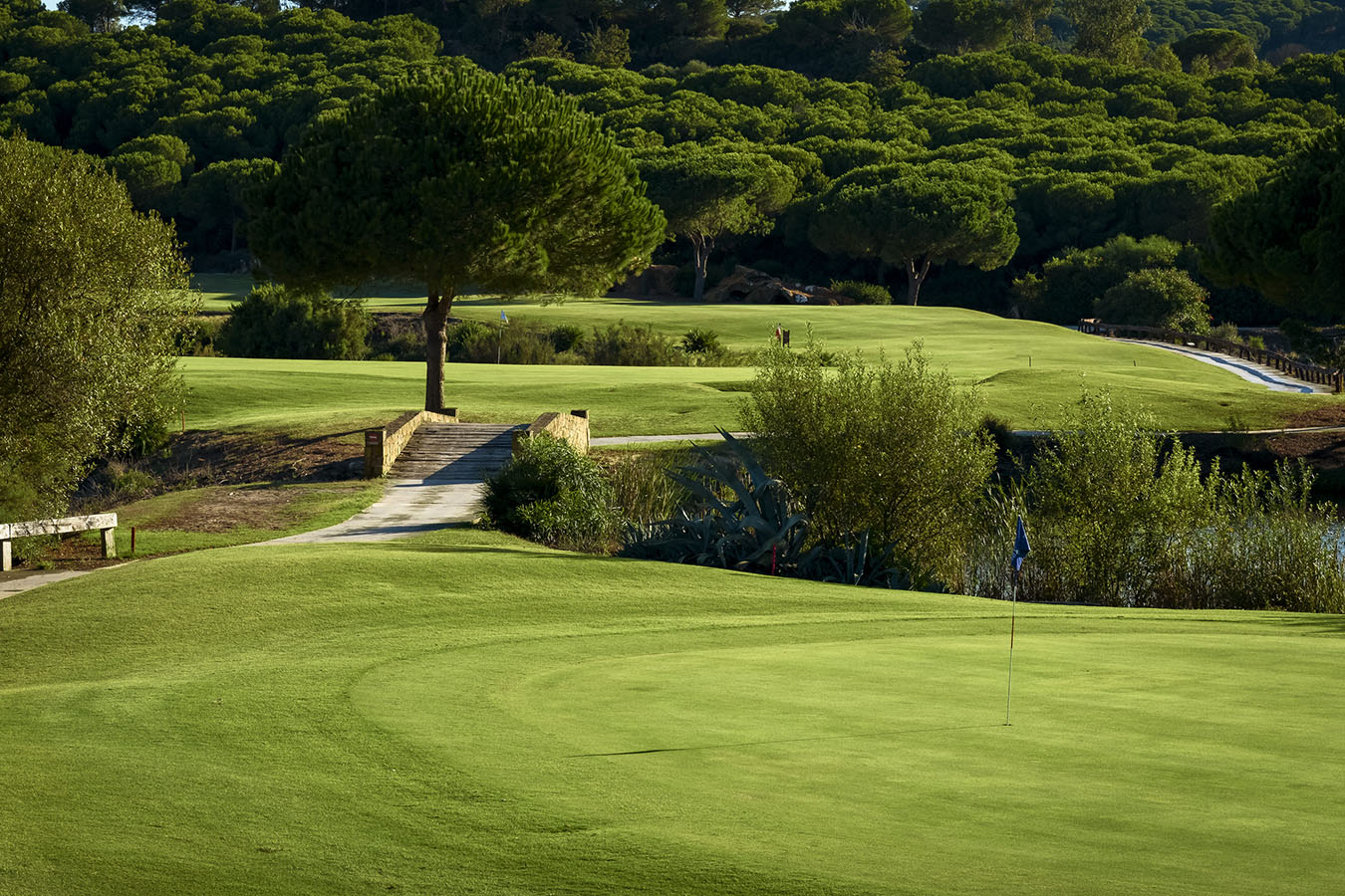 sotogrande-23