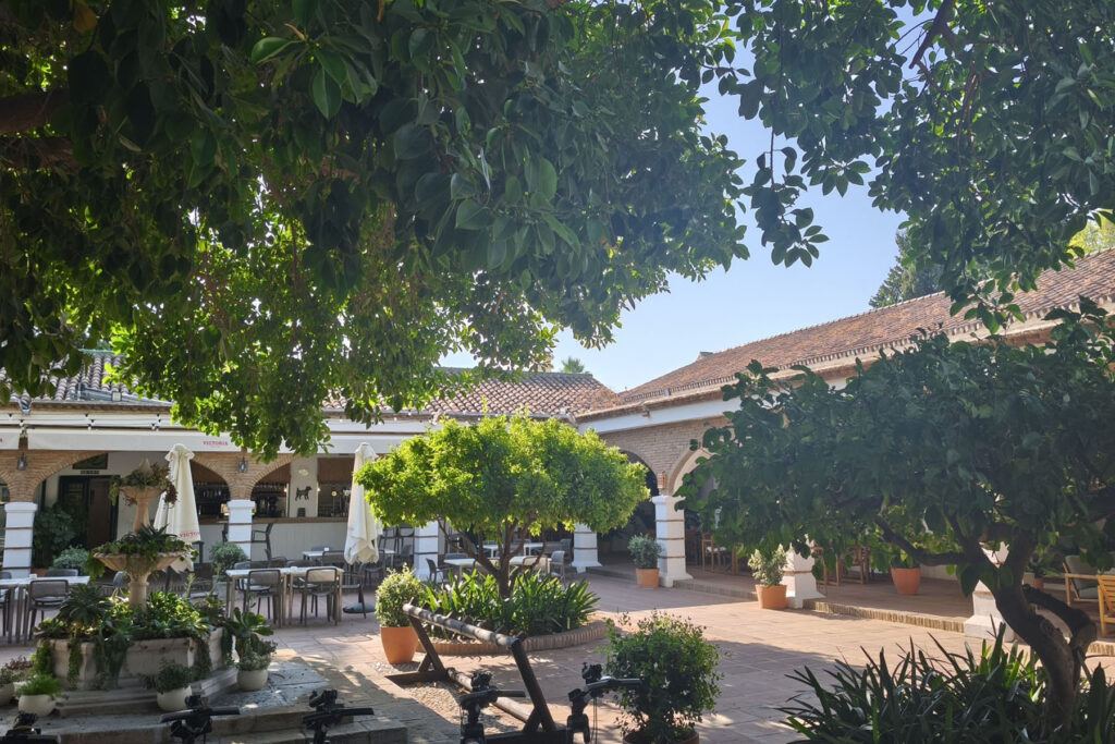 Patio Restaurant