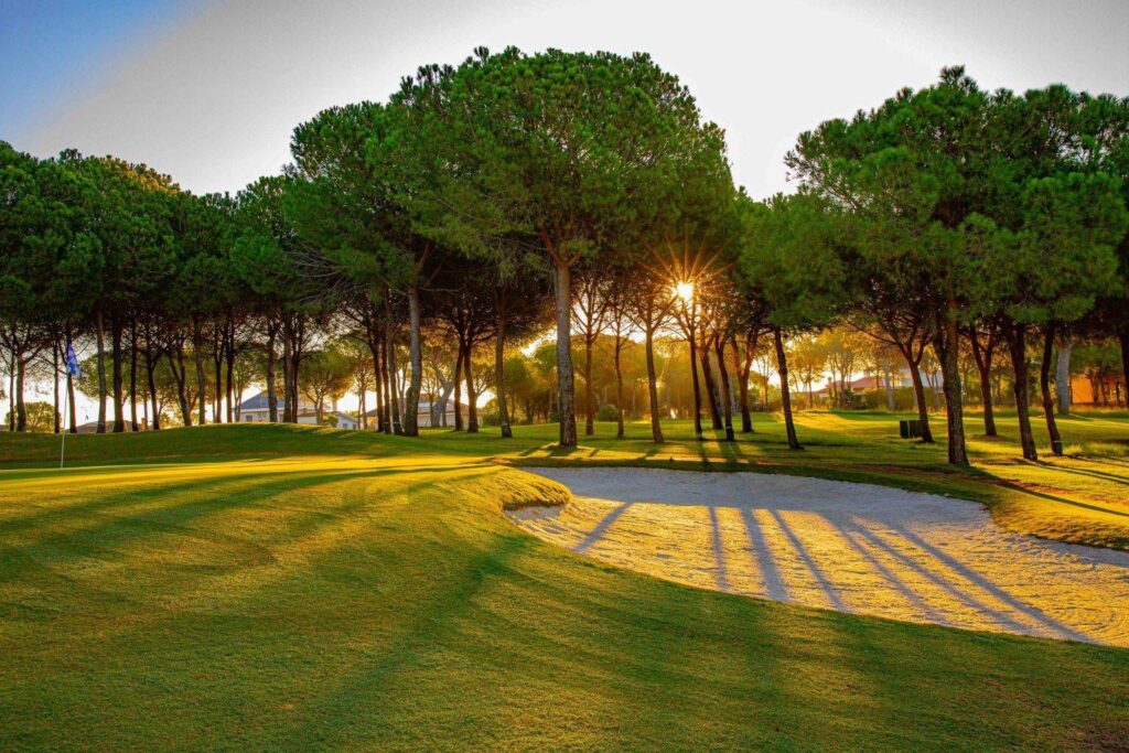 bellavista.golf (2)