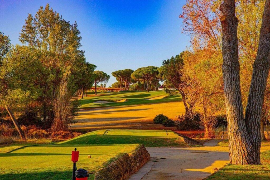 bellavista.golf (5)