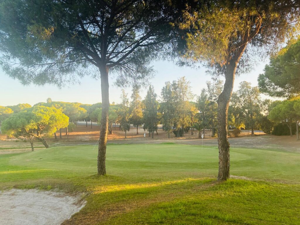 bellavista.golf (7)