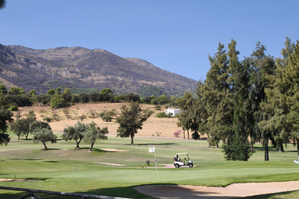 hole 21