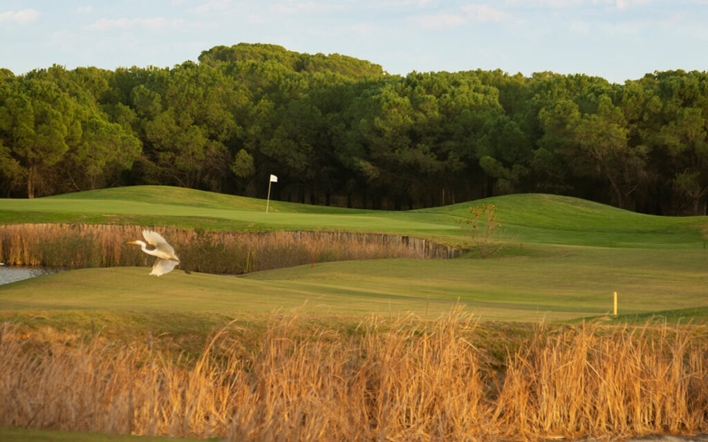 La Monacilla Golf