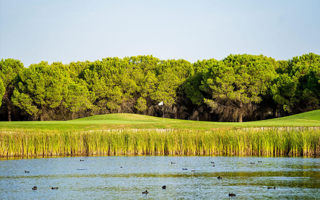 La Monacilla Golf