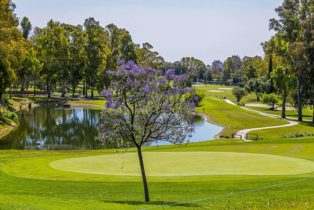 Marbella Golf Estepona