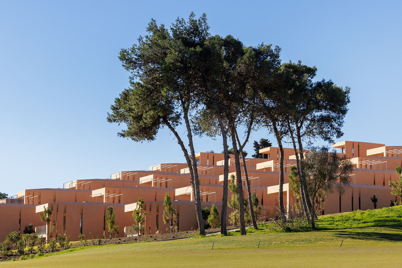 palmaressignature-08