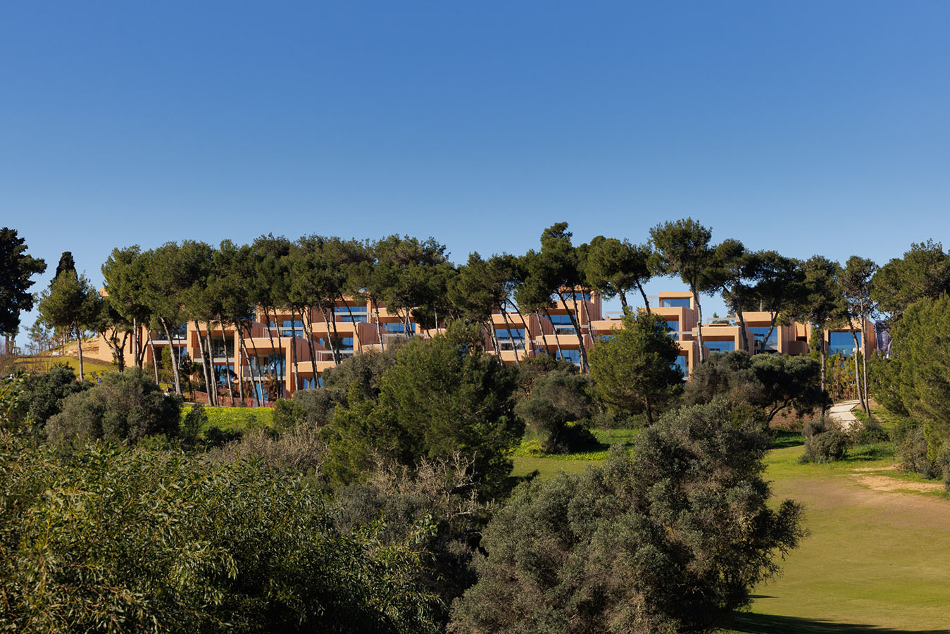 palmaressignature-15