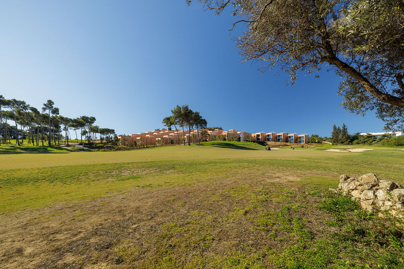 palmaressignature-20