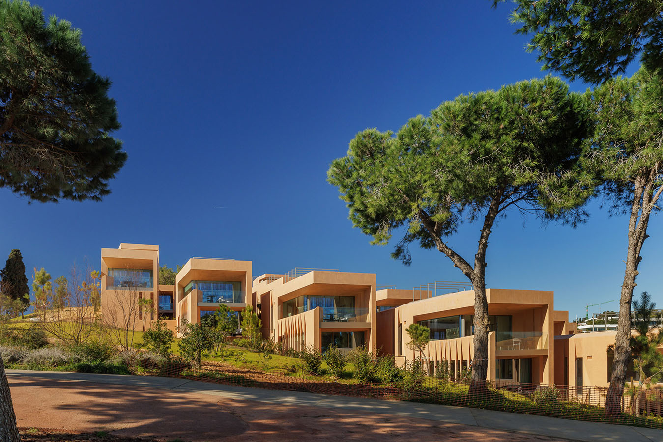 palmaressignature-22