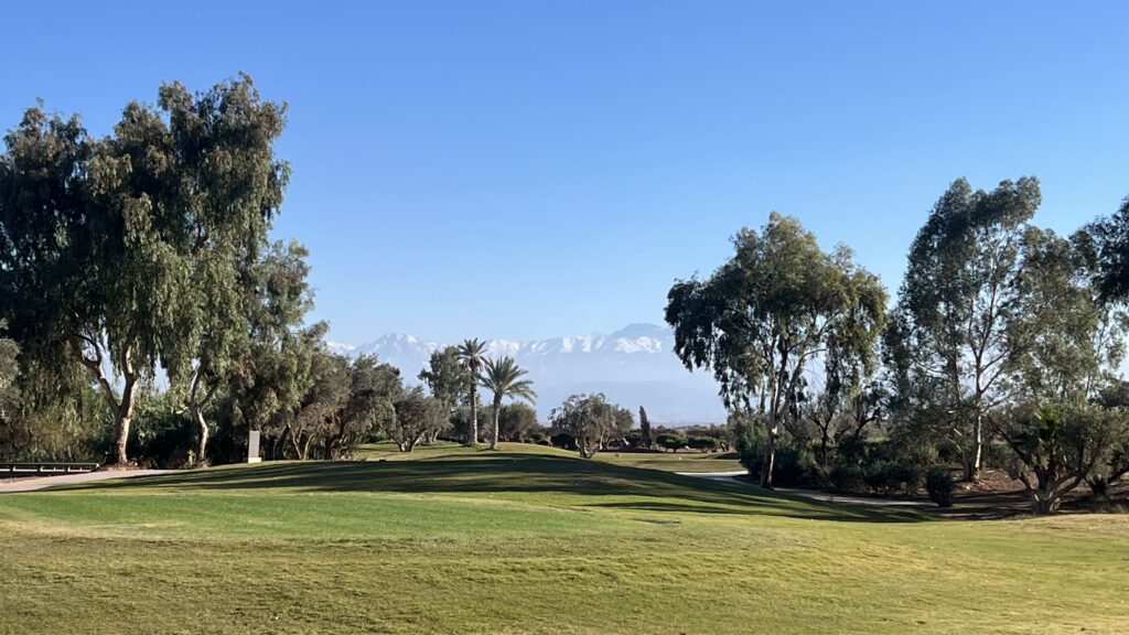 fairmontroyalpalm (4)