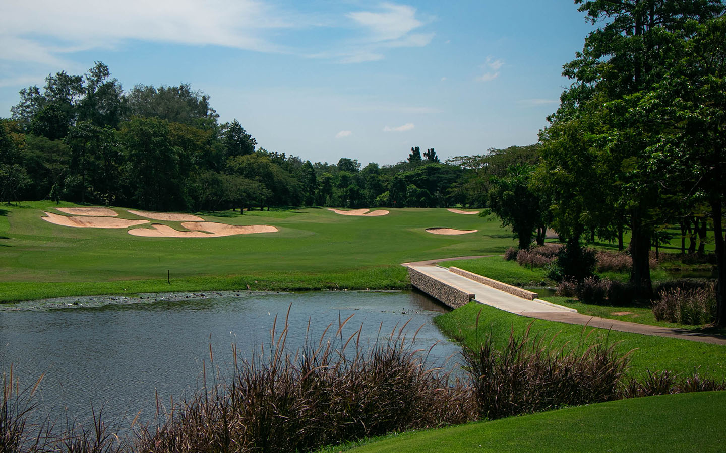 thailand-diverse.golf-09